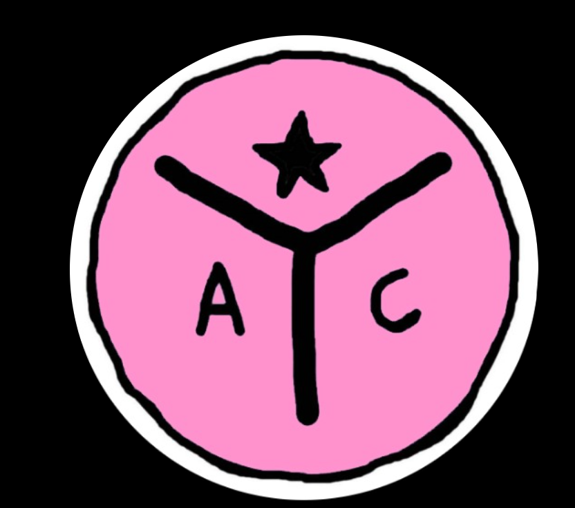 Autonomous Youth Camp